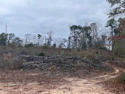 00 Scenic View LN, Andalusia, AL 36421