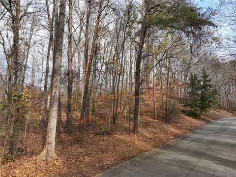 00 Santee Trail, Clemson, SC 29631