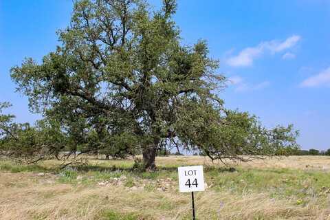 198 Lipan Loop, Harper, TX 78631