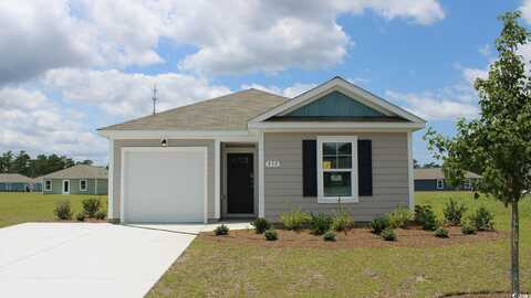 504 Gummy Bear Ct., Conway, SC 29526