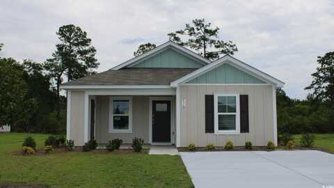 536 Gummy Bear Ct., Conway, SC 29526