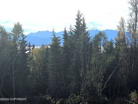 000 Yukon Street, Homer, AK 99603