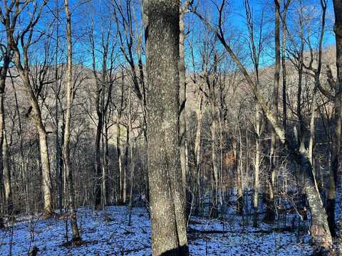 El Miner Drive unit: 551, Mars Hill, NC 28754