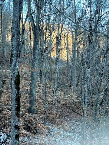 Bee Tree Lane unit: 69, Mars Hill, NC 28754