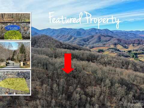 221 View Ridge Parkway, Leicester, NC 28748