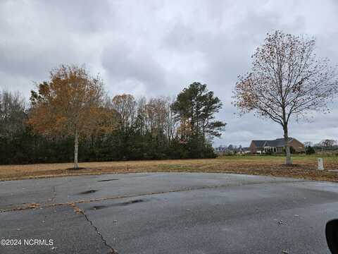 Lot 54,Jj Arabian Way Way, Hertford, NC 27944