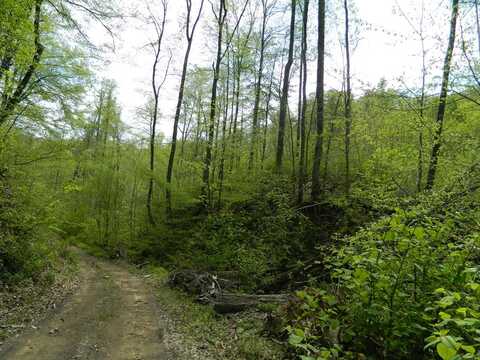 0 Narrows Branch Road, Hardy, KY 41531