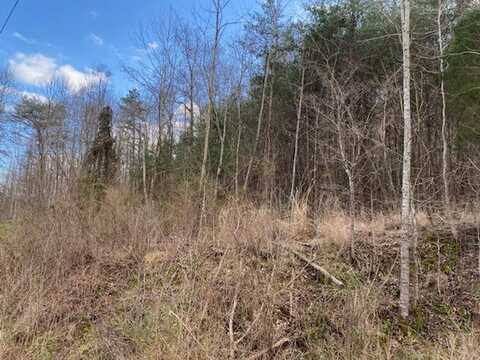 Lot 27 Richmond Hill Estates (Parcel 062-00-00-063.27), Van Lear, KY 41265