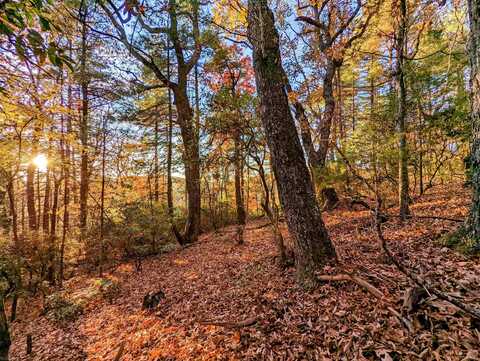 TBD Majestic View Lane, Floyd, VA 24091