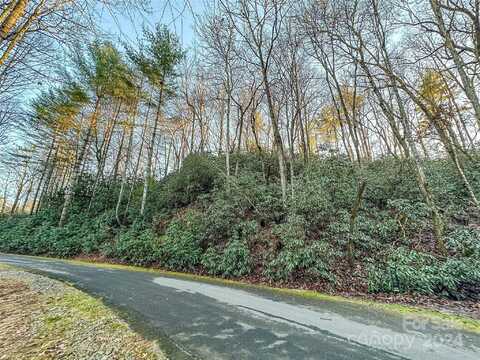 D17 Caroline Lane, Pisgah Forest, NC 28768