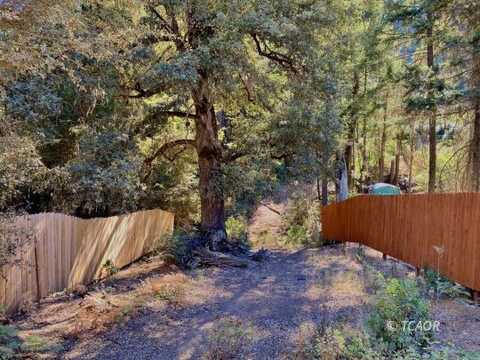 1241 Chrome Mine Rd, Hayfork, CA 96041