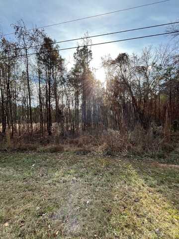 116 Trade Mill Court, Winnsboro, SC 29180