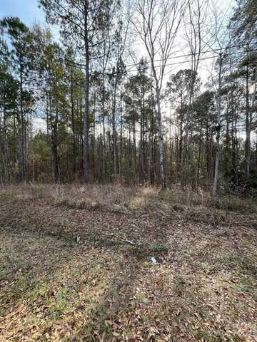 44 Trade Mill Court, Winnsboro, SC 29180