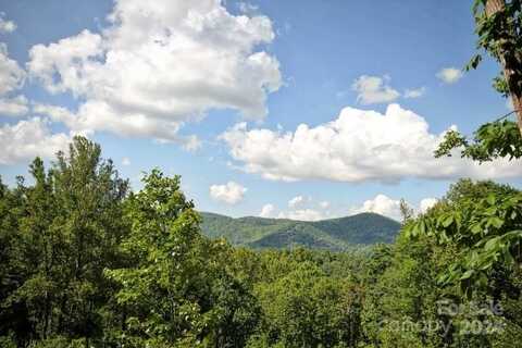 68 Wolfebridge Lane, Asheville, NC 28804