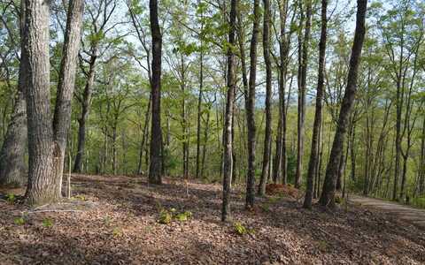 Lot 20 North Ridge Trail, Brasstown, NC 28902