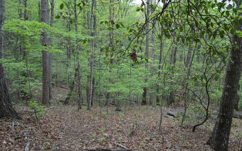 Lot 11 North Ridge Trail, Brasstown, NC 28902