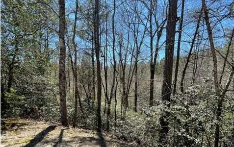 Lot 6 Willow Ridge, Warne, NC 28909