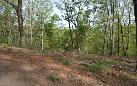 Lot 19 North Ridge Trail, Brasstown, NC 28902