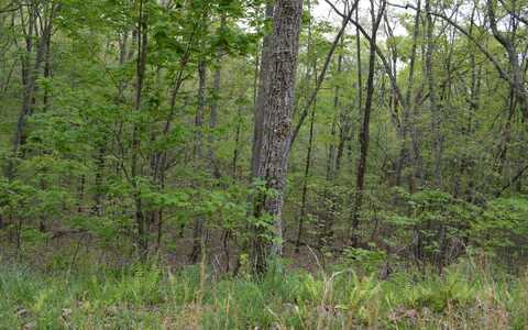 Lot 16 North Ridge Trail, Brasstown, NC 28902