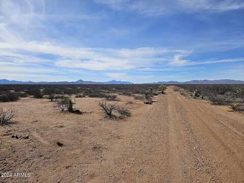 4ac N Kings Highway, Douglas, AZ 85067