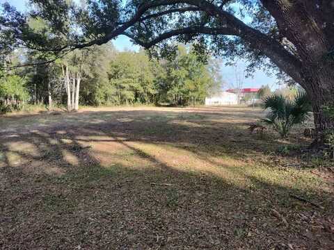 17449 NW 89TH TER, FANNING SPRINGS, FL 32693