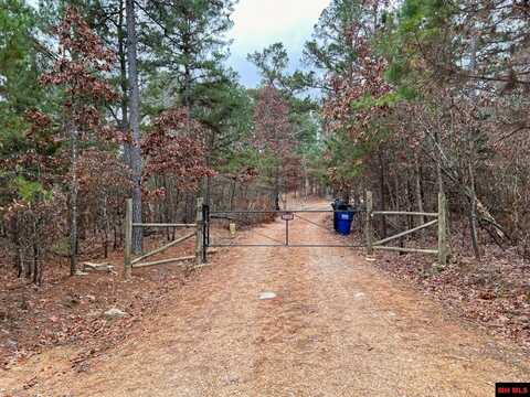 56 TIMBERJACK LANE, Salesville, AR 72653