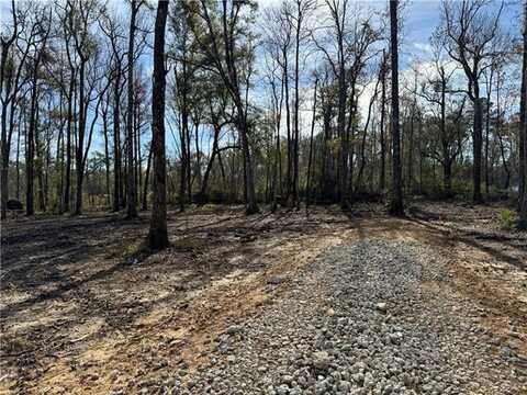 27498 Tract 3-C E SHADOW LAKE Drive, Holden, LA 70744