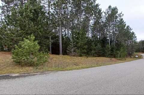 Lot 7 Bears Paw Trail, Vanderbilt, MI 49795