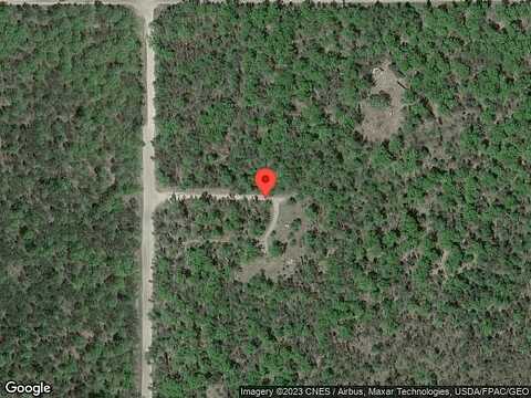 42Nd, IDLEWILD, MI 49642