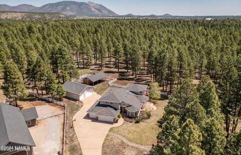 Kiltie, FLAGSTAFF, AZ 86005