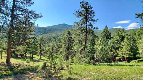 Twin Spruce Road, Golden, CO 80403