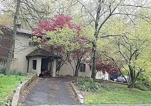Pear Tree, LAFAYETTE HILL, PA 19444