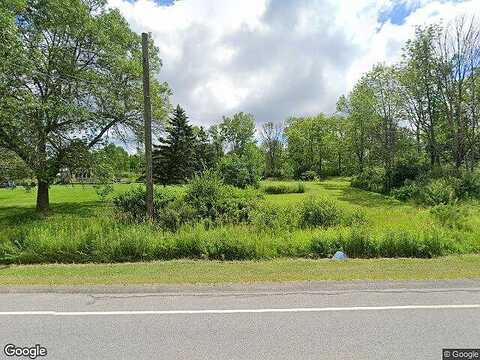 Partridge, HOLLAND, NY 14080