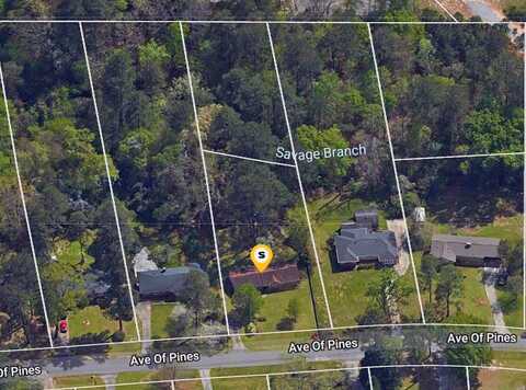 Ave Of Pines, Macon, GA 31204