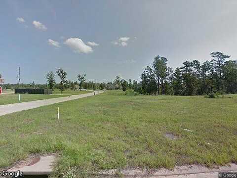 Ridge Park, MAGNOLIA, TX 77354