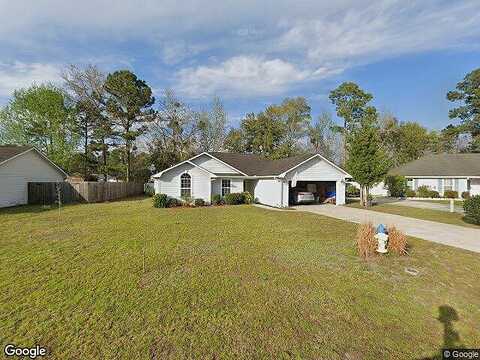 Sago Palm, KINGSLAND, GA 31548