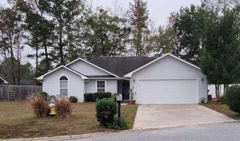 Sago Palm, KINGSLAND, GA 31548