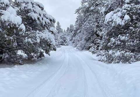 Maple Glen, PAGOSA SPRINGS, CO 81147