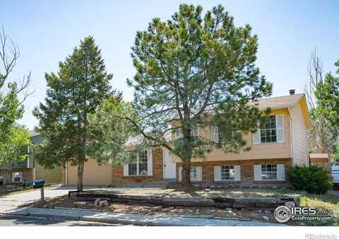 Fern, BROOMFIELD, CO 80020