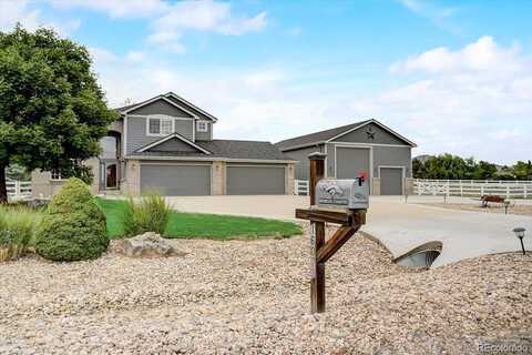 Willow, BRIGHTON, CO 80602