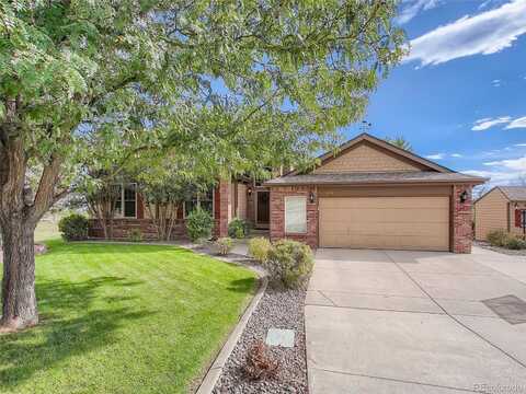 Xenia, BRIGHTON, CO 80602