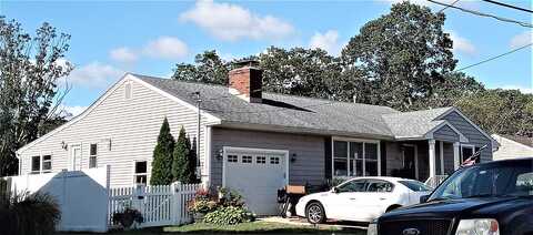 Beech, POINT PLEASANT BORO, NJ 08742