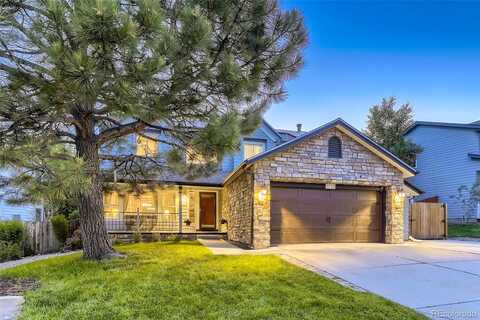 Ellis, LAKEWOOD, CO 80228