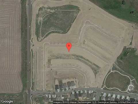 Shikra, BRIGHTON, CO 80601