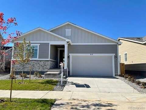 Fencerow Place, Brighton, Co, 80601, Brighton, CO 80601