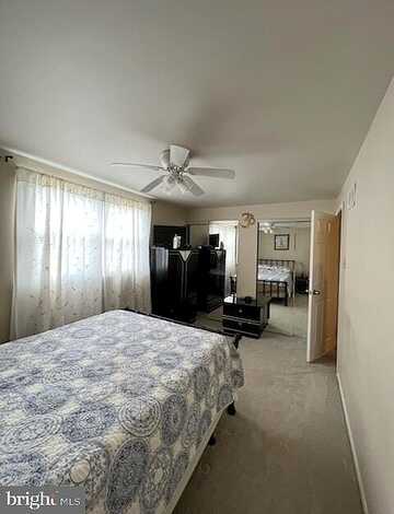 Nandina, PHILADELPHIA, PA 19116