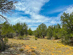 W Camino Oso -- 1908, Seligman, AZ 86337