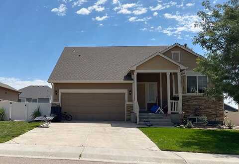 Sycamore, JOHNSTOWN, CO 80534