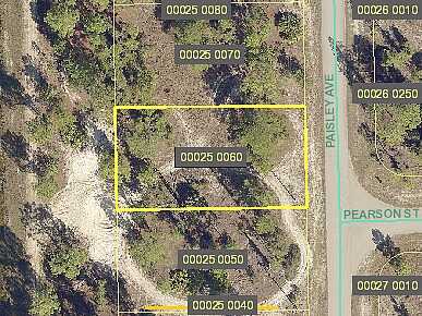 Paisley, LEHIGH ACRES, FL 33974