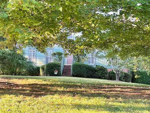 Tulip Tree, MARIETTA, GA 30066